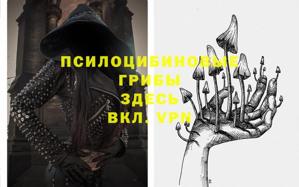 jwh Алзамай