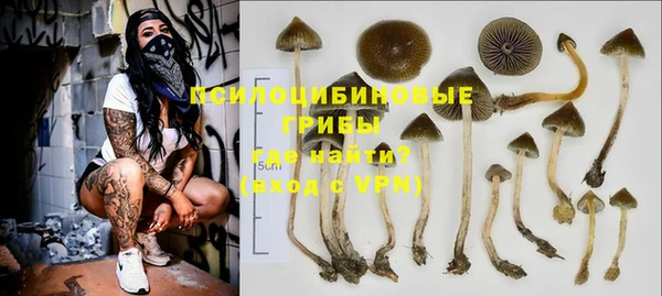 меф Арсеньев
