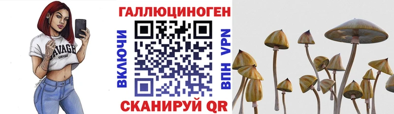 Галлюциногенные грибы Psilocybine cubensis  купить закладку  Собинка 